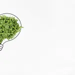 Cos’è la comunicazione ENEA