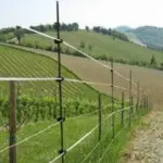 Il recinto elettrico: l’alleato perfetto per la protezione dei nostri spazi