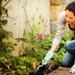 Gli attrezzi per il giardino che non dovrebbero mai mancare