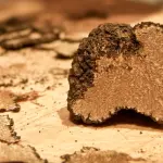 Appuntamenti a Brisighella, tra tartufi, salumi e altre primizie agroalimentari