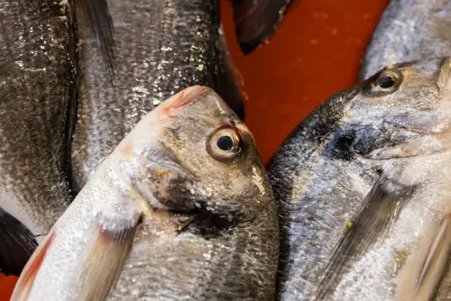 Come pulire e cucinare il pesce fresco
