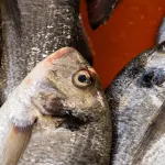 Come pulire e cucinare il pesce fresco