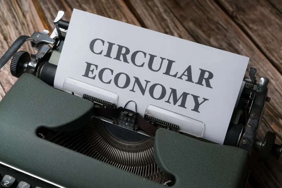 Cos'è l'economia circolare e come applicarla