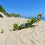 Spiagge bianche di Tropea: guida al litorale vibonese