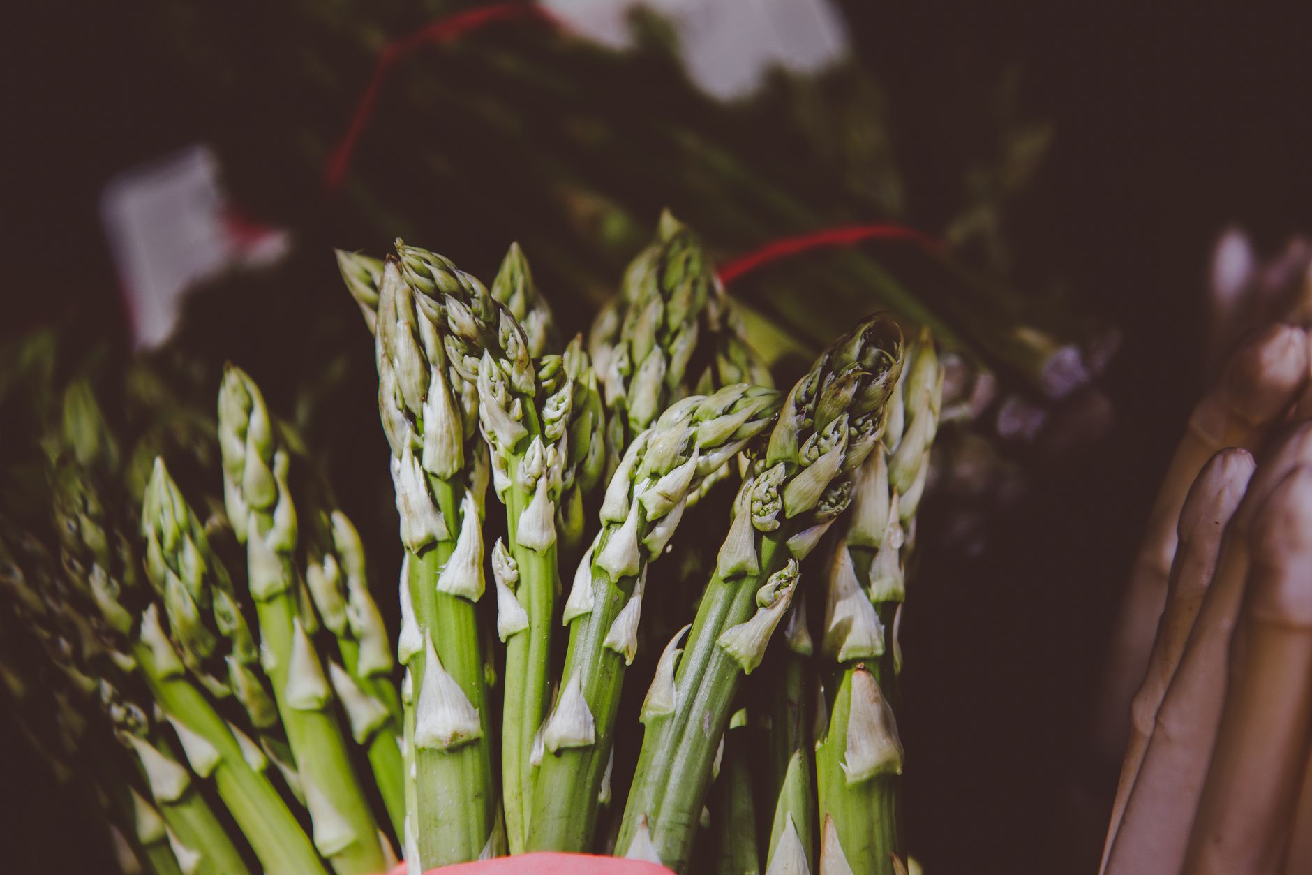 Risotto con asparagi: mantecatura e tempi perfetti