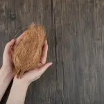 Fibra di cocco: i vantaggi di un substrato sempre più utilizzato