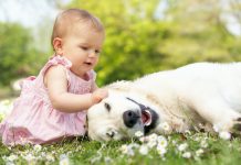 Secondo uno studio i bambini che hanno un animale sono più felici