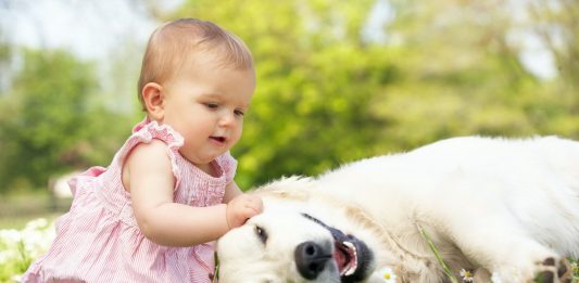 Secondo uno studio i bambini che hanno un animale sono più felici