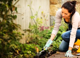 Gli attrezzi per il giardino che non dovrebbero mai mancare Gli attrezzi per il giardino che non dovrebbero mai mancare