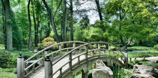 Il giardino Bioarmonico: terra e cielo in armonia