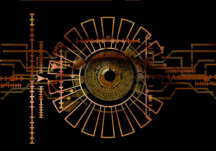 Datasis: il top per la tua attività