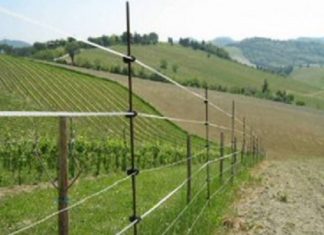 Il recinto elettrico: l’alleato perfetto per la protezione dei nostri spazi recinto elettrico
