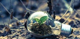 Cosa sono i programmi green loyalty e qual è la loro importanza