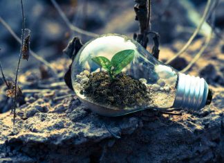Cosa sono i programmi green loyalty e qual è la loro importanza