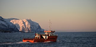 Harvester acquatici: qual è la loro funzione?